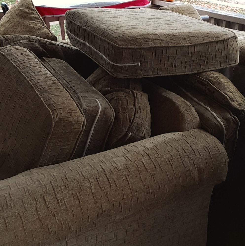Olive sectional